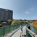 IMG20191116123052.jpg