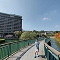 IMG20191116123055.jpg