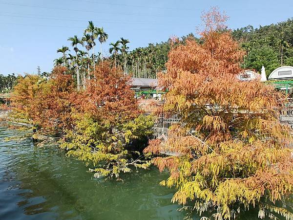 IMG20191116123204.jpg