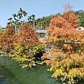 IMG20191116123204.jpg