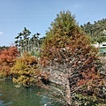 IMG20191116123107.jpg