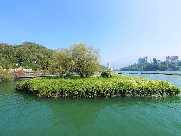 P1120455.JPG
