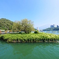 P1120455.JPG