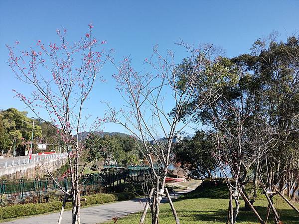 IMG20200111093853.jpg