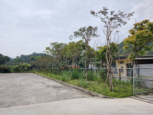 IMG20200418100210.jpg
