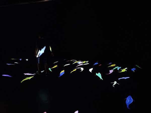 IMG20200418121546.jpg