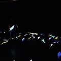 IMG20200418121546.jpg