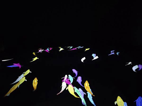 IMG20200418121529.jpg