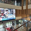 IMG20200418151330.jpg