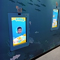 IMG20200418153212.jpg