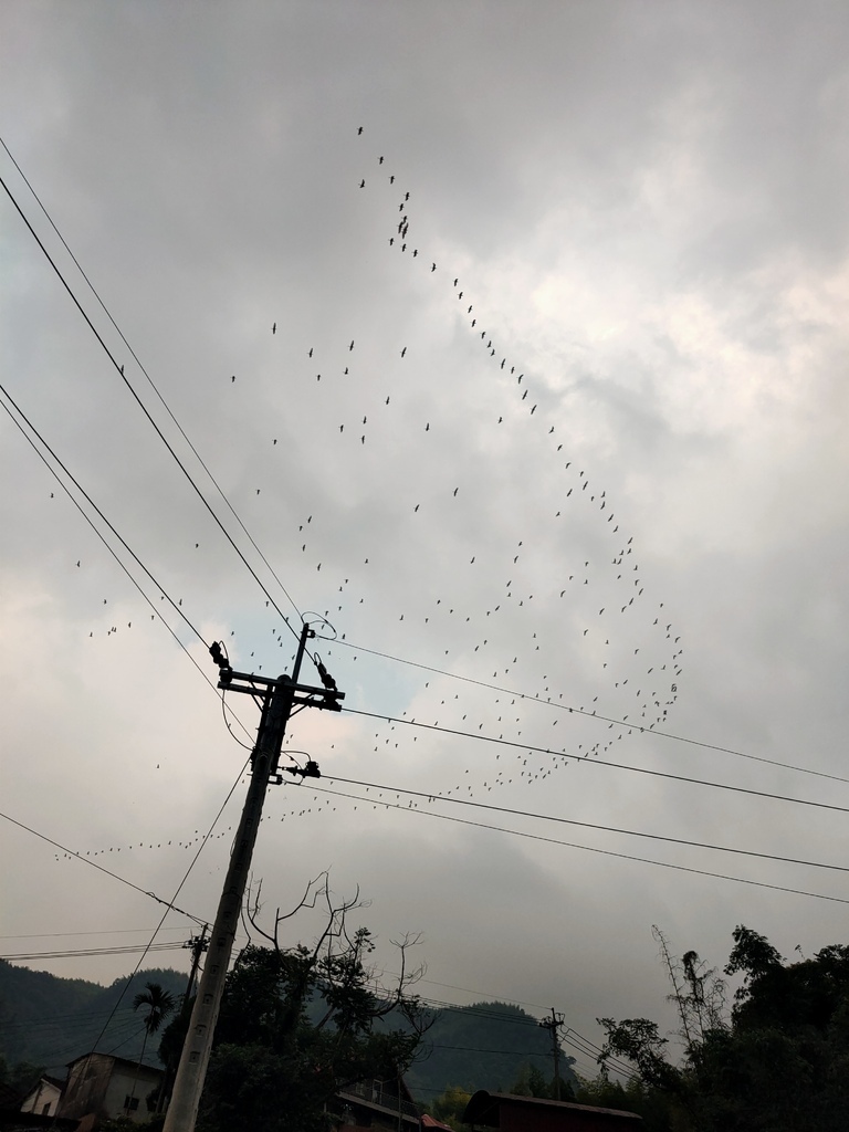 【南投親子民宿】溪部好呆庄♥印地安露營車♥賞螢秘境♥懶人露營