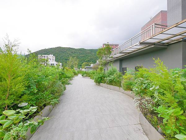 P1270554.jpg