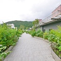 P1270554.jpg