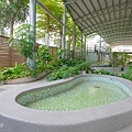 P1270653.jpg