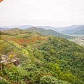 P1280715.jpg