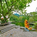 P1290800.jpg