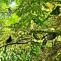 P08.jpg