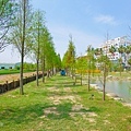 P1260350.jpg