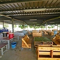 P1260360.jpg
