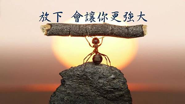 1EBA9888CE.jpeg 1EBA9888CE.jpeg