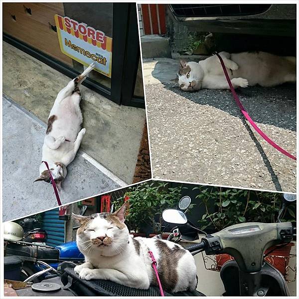 988547_361870384020545_8749439219904239895_n 988547_361870384020545_8749439219904239895_n