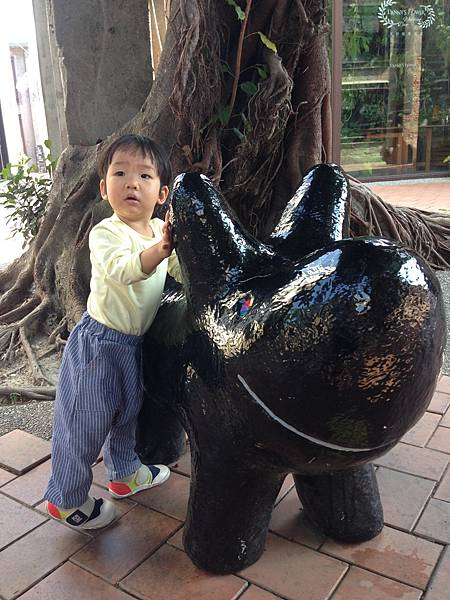 IMG_8887.JPG IMG_8887.JPG