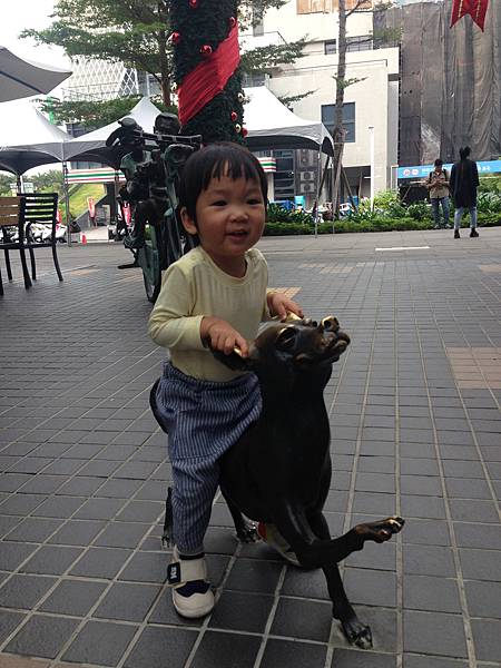 IMG_8898.JPG IMG_8898.JPG