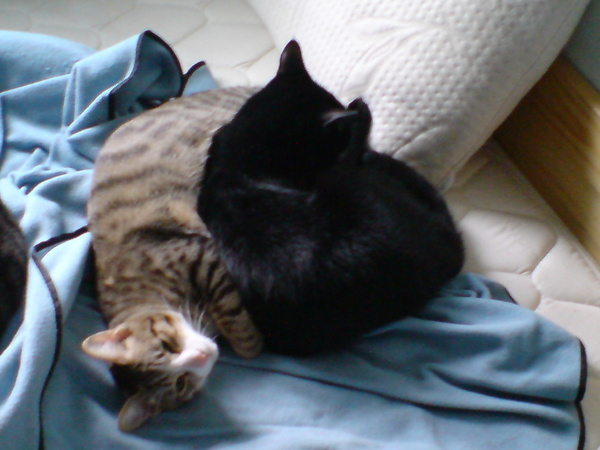 DSC00063.JPG