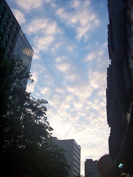 100_0801.JPG