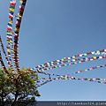 201203尼泊爾朝聖1-IMG_4809.jpg