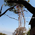 201203尼泊爾朝聖1-IMG_4820.jpg