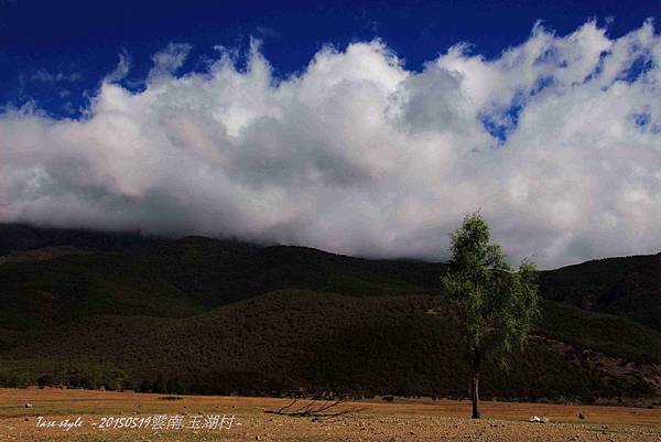 1040519雲南遊1_0364.jpg