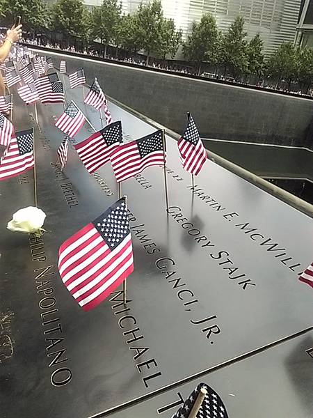 IMG_20170704_115032 IMG_20170704_115032