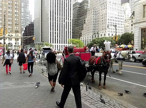 IMG_20170629_143155_mh1498787463676