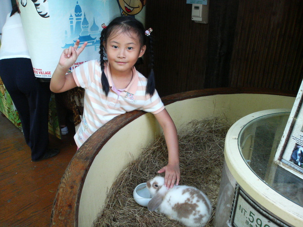 小萱唯一敢摸的小動物....小白兔