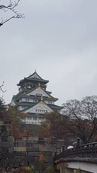 20161127_110937.jpg