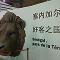 20100515_044.jpg