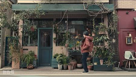 IMG_4733.jpg IMG_4733.jpg