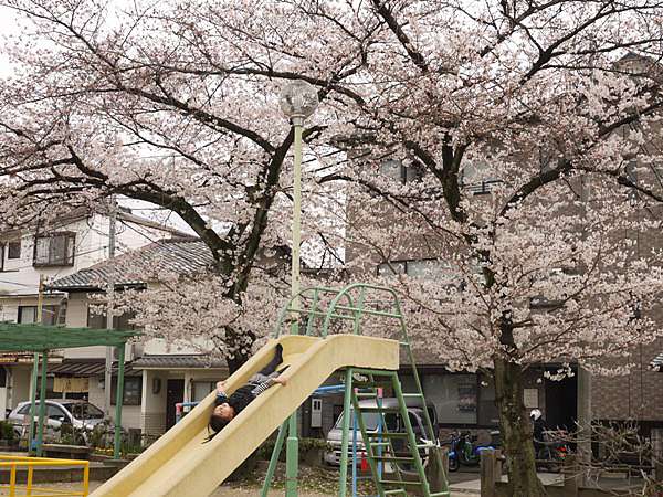 御神籤 京都 豐國神社十二干支神籤part 1 Cathy的部落格 痞客邦