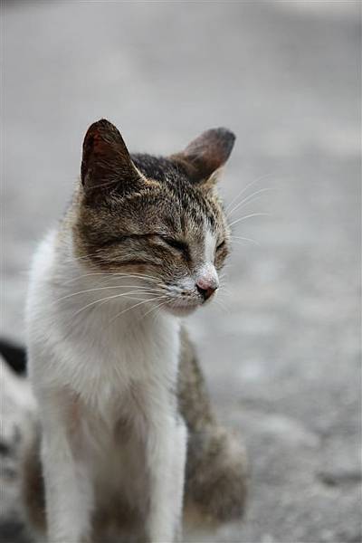 20100914_瑞芳猴硐_ 72.JPG