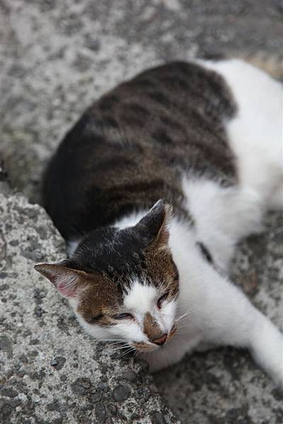 20100914_瑞芳猴硐_ 40.JPG