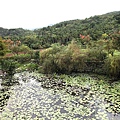 20111101_環島_51.jpg