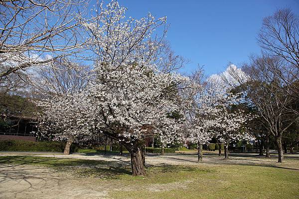 20120325_北九州_08.JPG