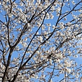 20120325_北九州_10.JPG