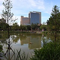 20120617_台大校園_5.JPG