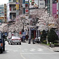 20130411_首爾_39.JPG