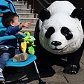 20131029_動物園貓空一日遊_09.JPG