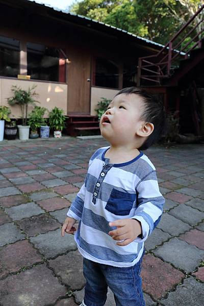 20131029_動物園貓空一日遊_39.JPG