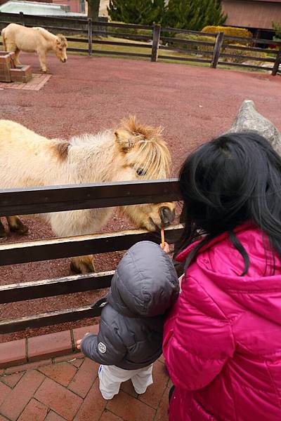 20150221_北九州_ 066.JPG