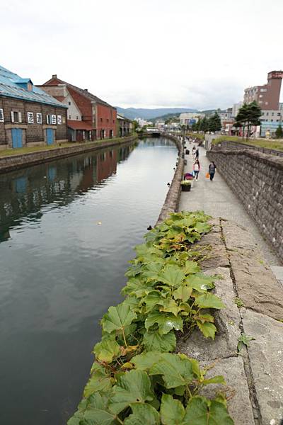 20160624_北海道_074.JPG